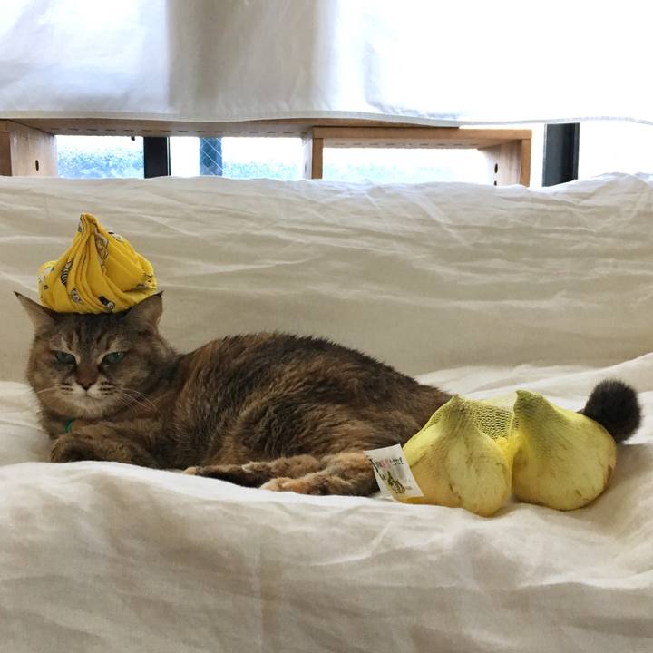 7772c303 2b24 4721 8946 325fdc534bc3