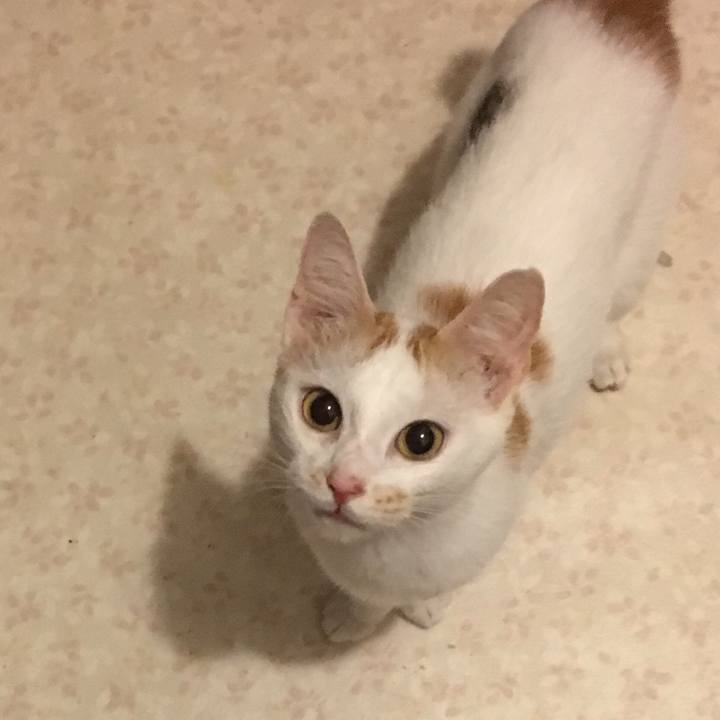 7772db8e 93db 4ece 8a82 5c4a51f7c242