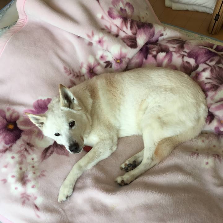 7772edaa 1085 4674 9902 2ad7cbaada72