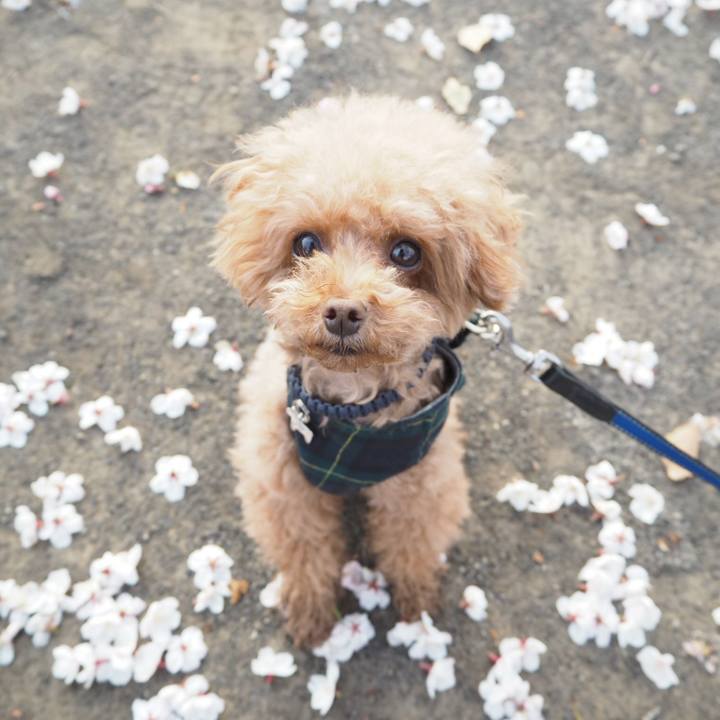 7772f60d 6493 4366 b5b2 5b72706e6c3d