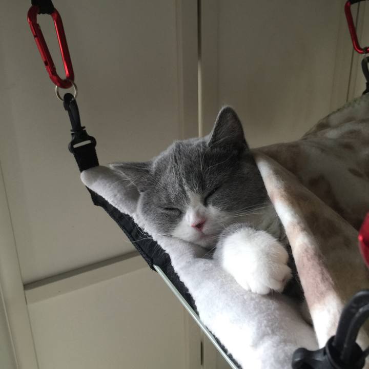 77739312 fa12 41f3 a742 2dca622245d1