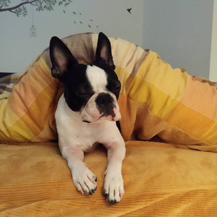 7773b622 4bab 4712 9538 20e1da297458