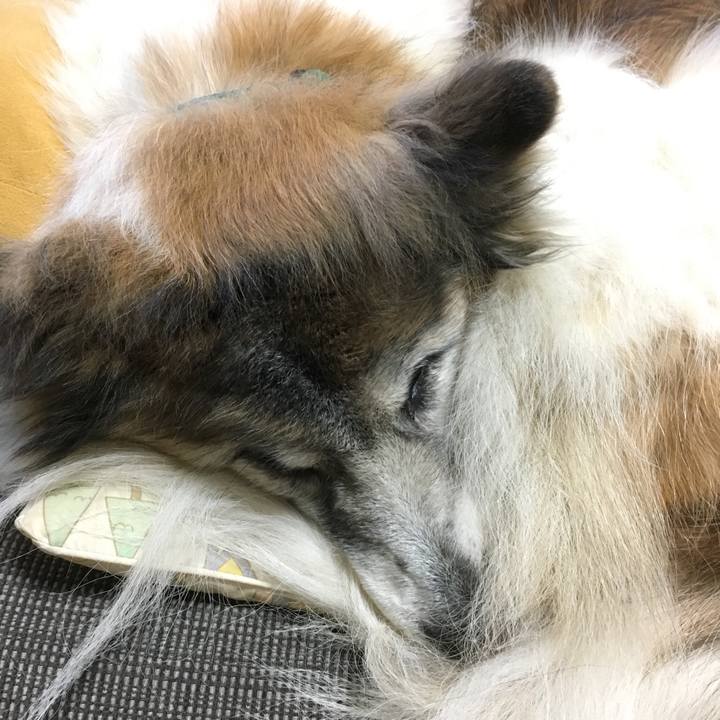 7773bca9 737d 4829 8607 c21a4d96d6a1