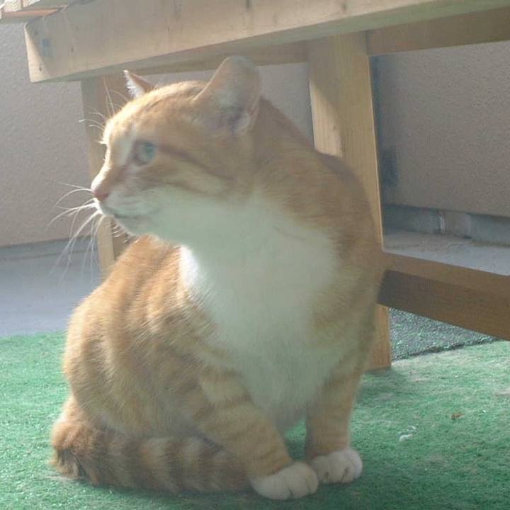 7773ef02 38e4 428e 9524 5c36297436e0