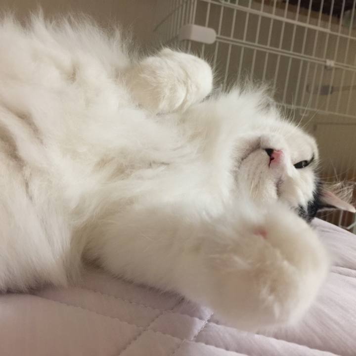 777408b9 426b 4c12 ba67 c5d8ffeab999