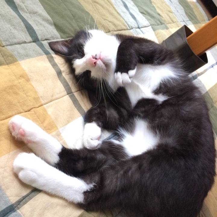 77746ceb 5a8c 4091 aadc 158edb97c405