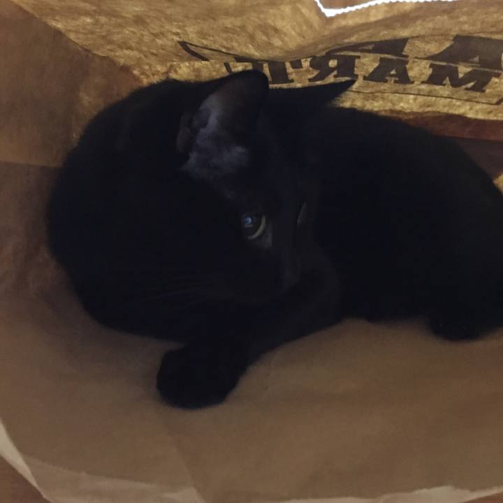 77751ed3 eacc 476b 84e4 a4433087cd8f