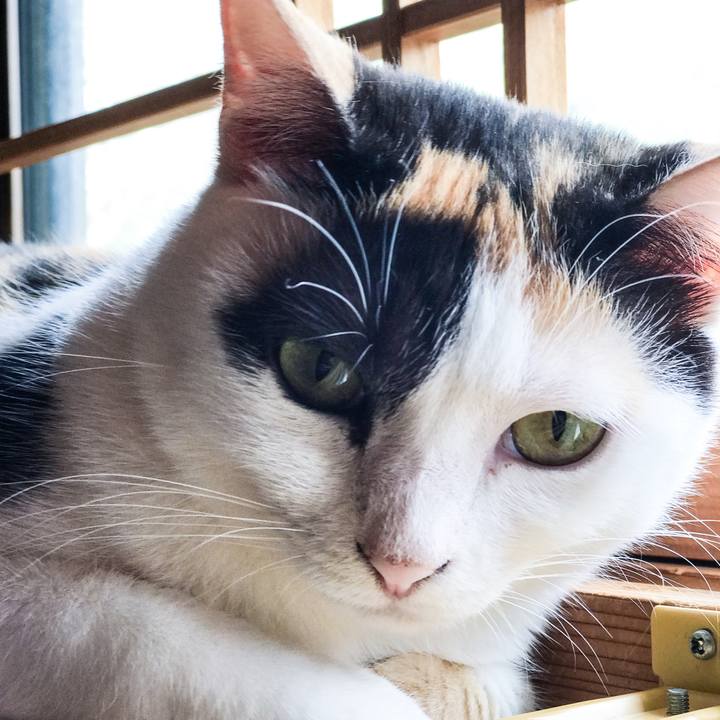 7775896e 95c4 48c0 962b 1929d91c54cb