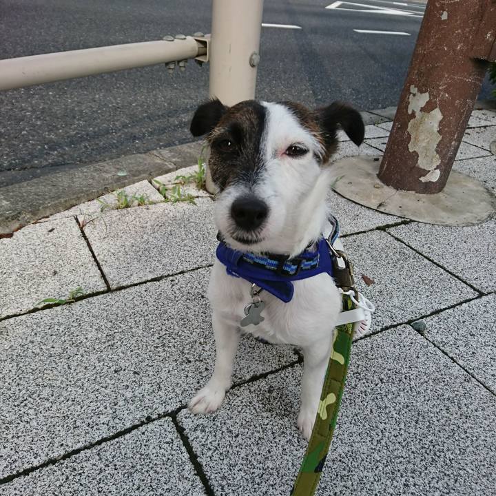 7776395f 4cf1 46a8 ab49 ad07f8d35676