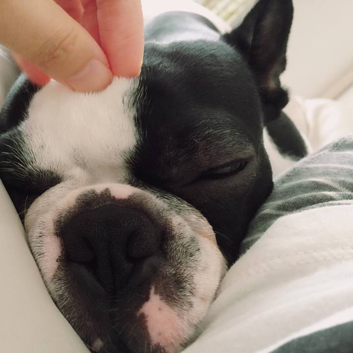 7776b02e 61d2 49c1 ac6f 04564e17c277