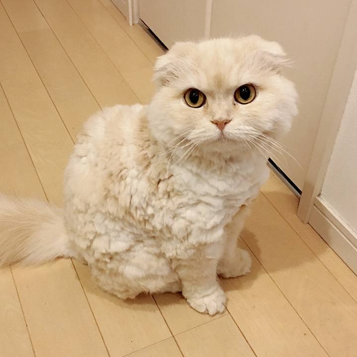 77771269 5e83 41d6 a3b3 417f3e4f5ee4