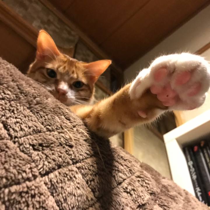 7777261a 9870 4636 b3e7 ac4c763e5ba4