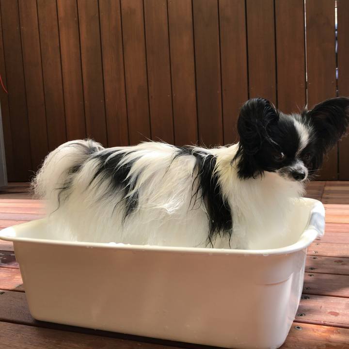 77776958 033b 4bc7 afa3 9e39f02c82ae