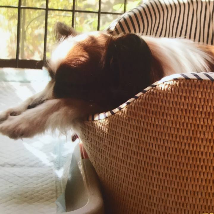 77777b62 8fe6 4f6f af99 104f1705c2d1