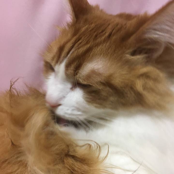 777782eb e366 477b 8a1a ce4e4d87db20