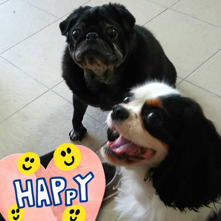 7778697a 0511 42cf 9977 bbaead1754a4