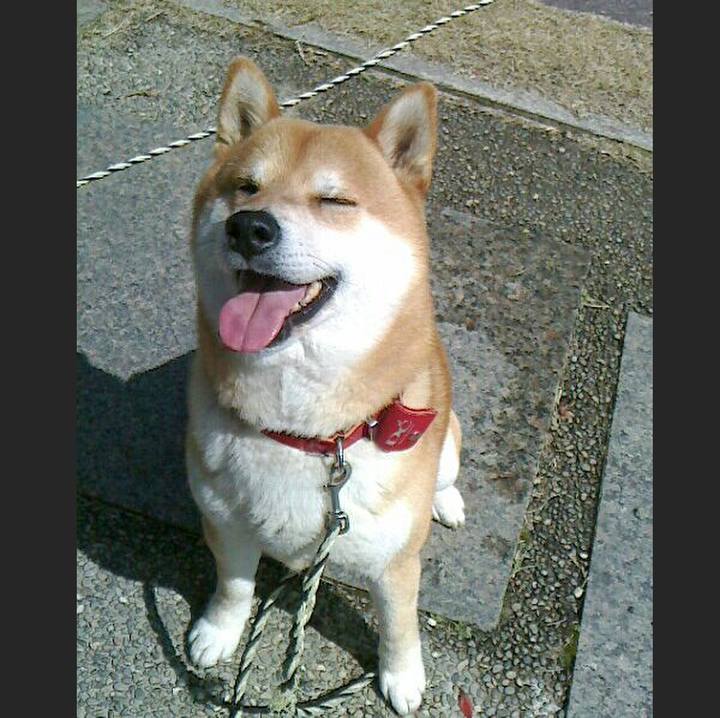 7779a97e ad9b 46b3 9e9d 462b9329732c