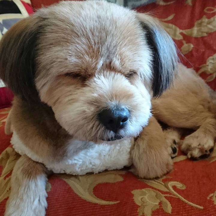 777a4a9d 93da 40b7 91ae 8c991ff7ac6b