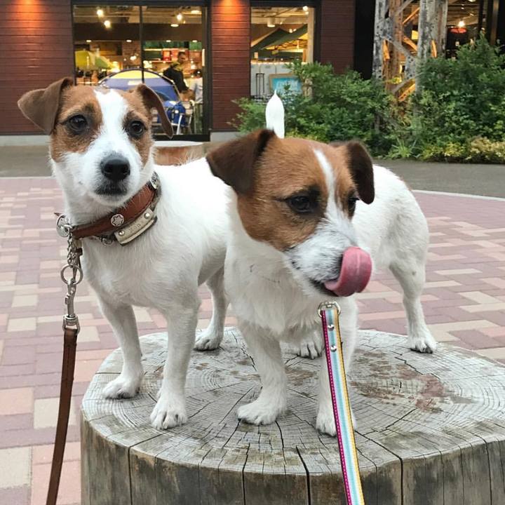 777a4b2c d2e3 4d8a 85f5 466a65c0c6ed