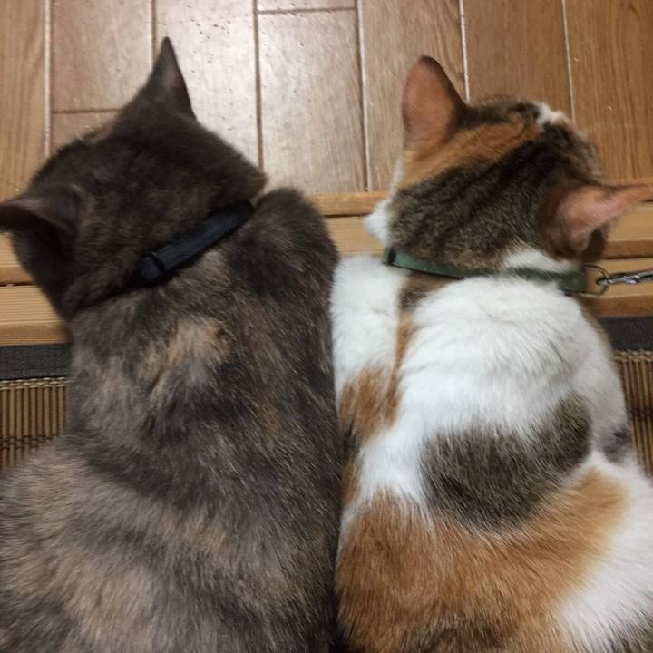 777a621a e3e3 45bf 81e1 b9a2205538b5