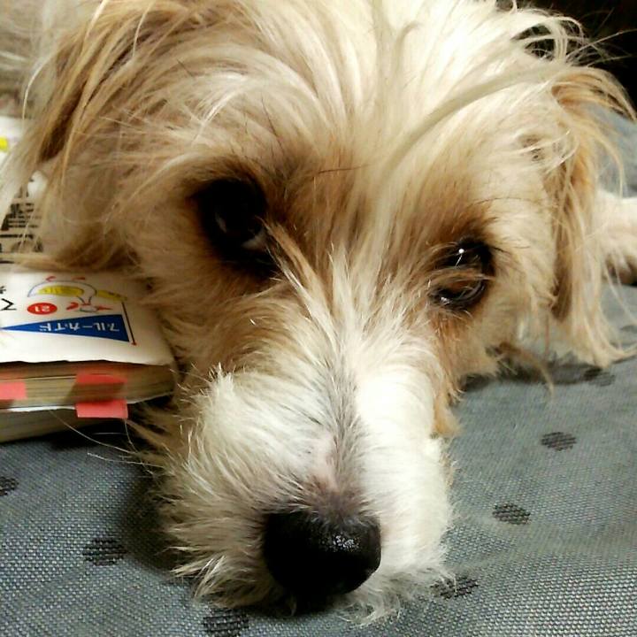 777b3631 20d4 40d1 9d21 48a9c47110da