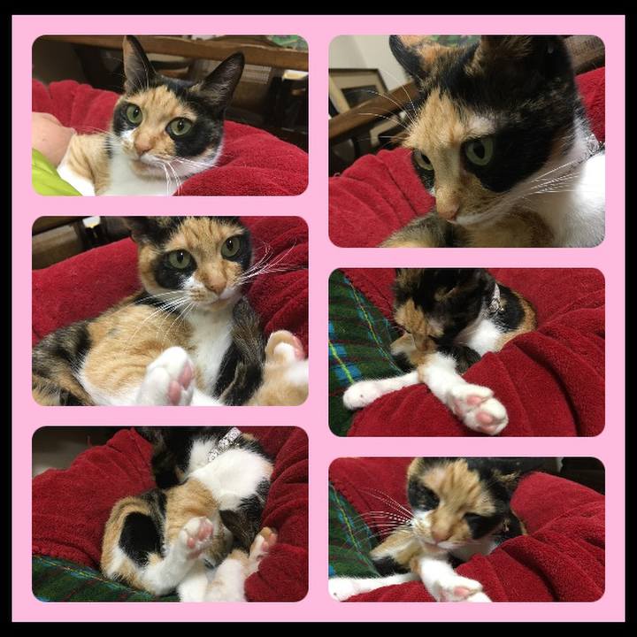 777b74fa 2852 4345 9782 74dd8b8f61b7