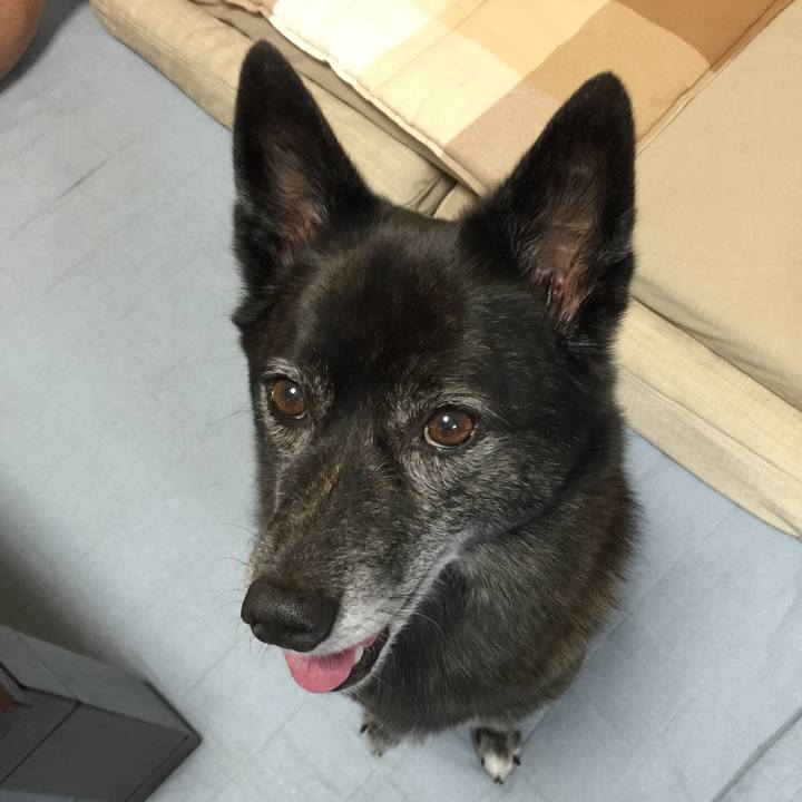 777c0adb 3f98 46c0 80d3 aacb92e3839a