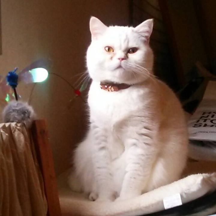 777c12c7 9565 4683 9786 bc0d13161e2a