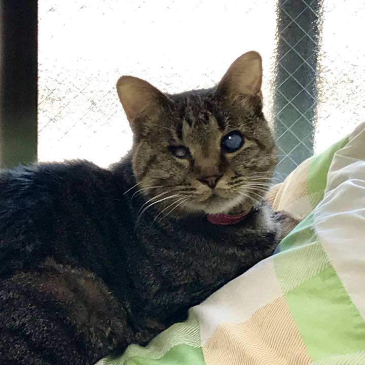 777c17fa 0188 4a98 8520 cf88409d201d