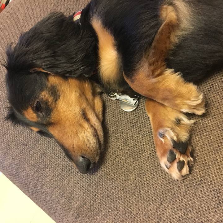 777c3921 4a23 4d0f 9623 47dddaa0f35e