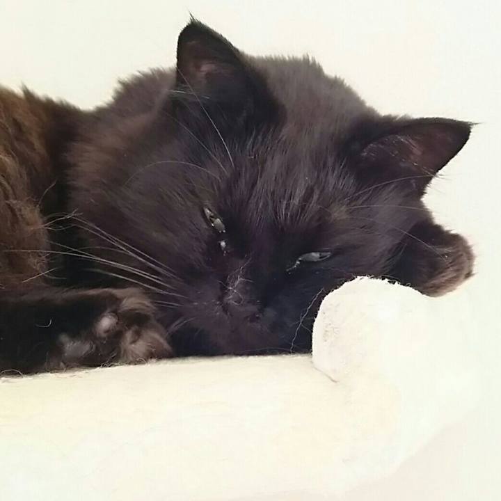 777cab5b 4427 41f4 a273 44d8eaaa832c