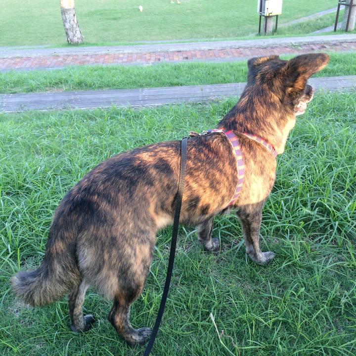 777cc6dc f95d 4908 9940 a67943ded323