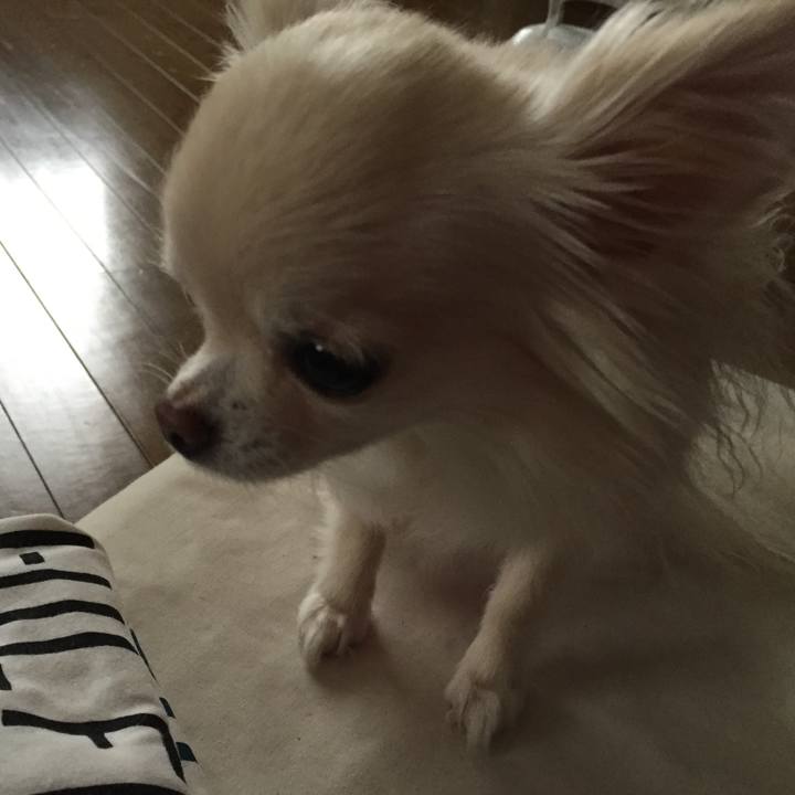 777d8b70 991a 48a9 9026 2a4e39027b07