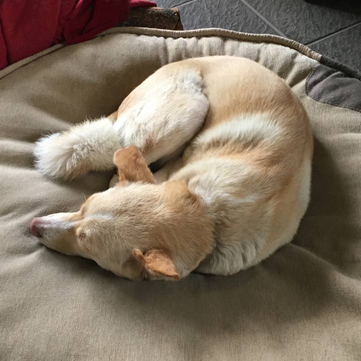 777deafb ab4a 4b73 b0f0 d0bde7641586