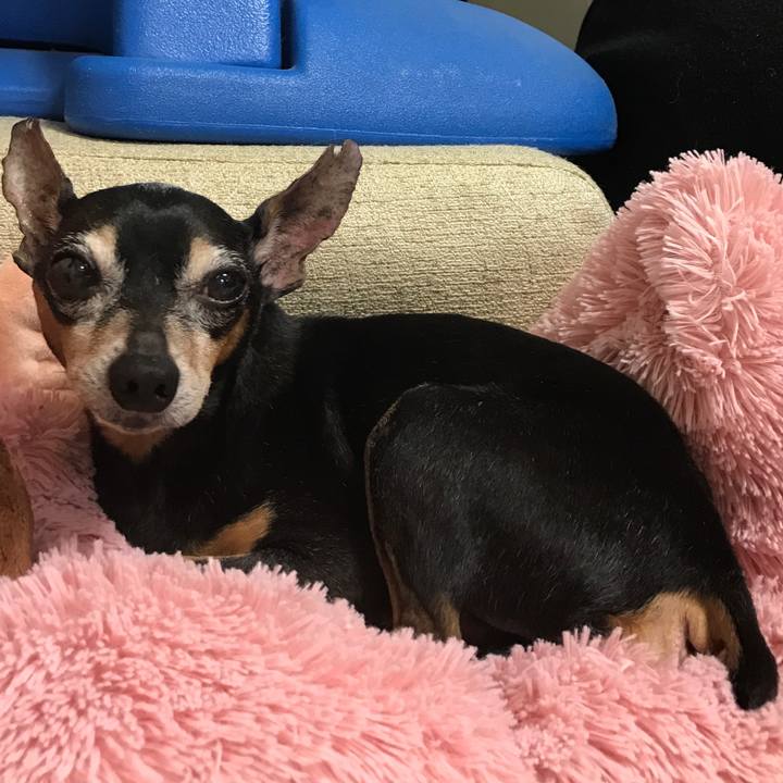 777e356e 6bde 49f8 982f b36e98525888