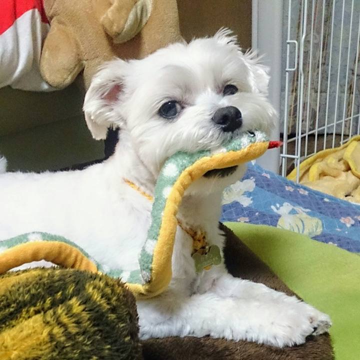 777e4ceb afd1 4646 b6e9 e263075889ca