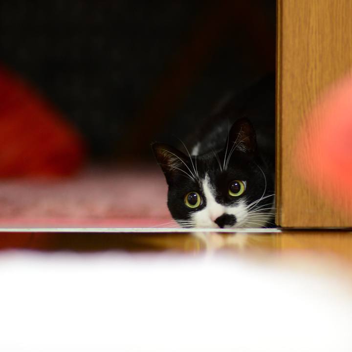 777e58f1 e755 42ed b2e9 676ed0cbe8e4