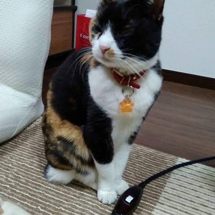 777ebb80 4b6a 404f 9f3a bf27b073d21b