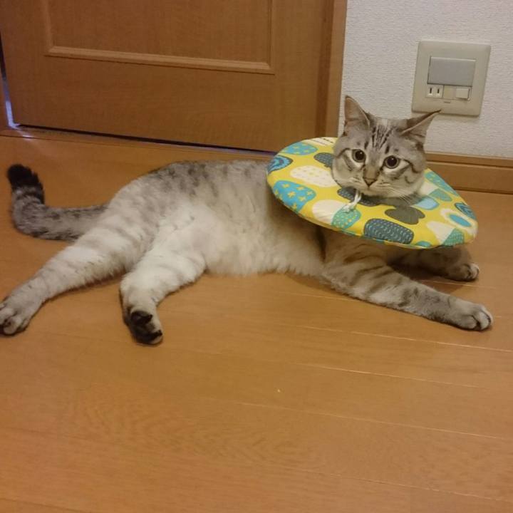 777ee75e 65e3 49f2 9185 3b3d4cd9f5f9