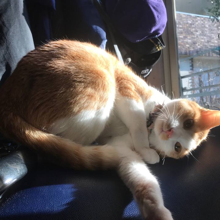 777f0b3c 7c11 4185 bf5b 6cfdd6d7f62b