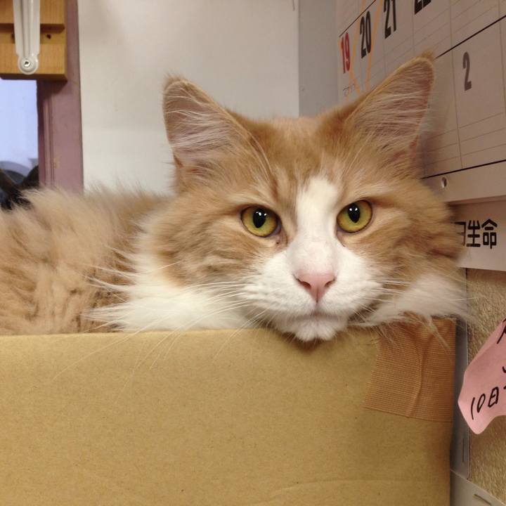 777fe389 2526 44c7 a5b9 db42ee1ebac3