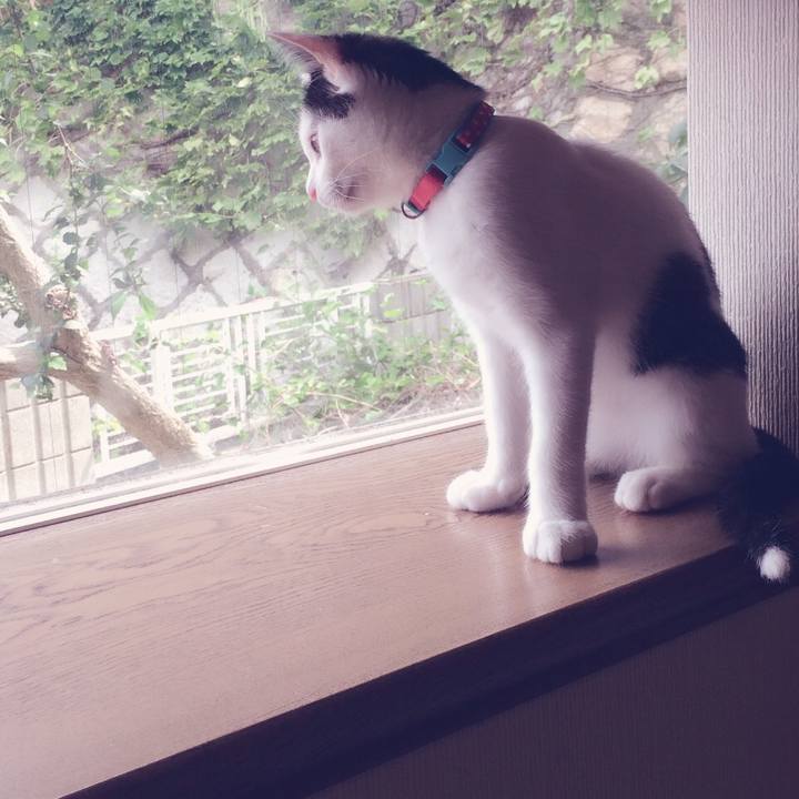 777feb1a 9b81 4912 a5b8 edba68681669