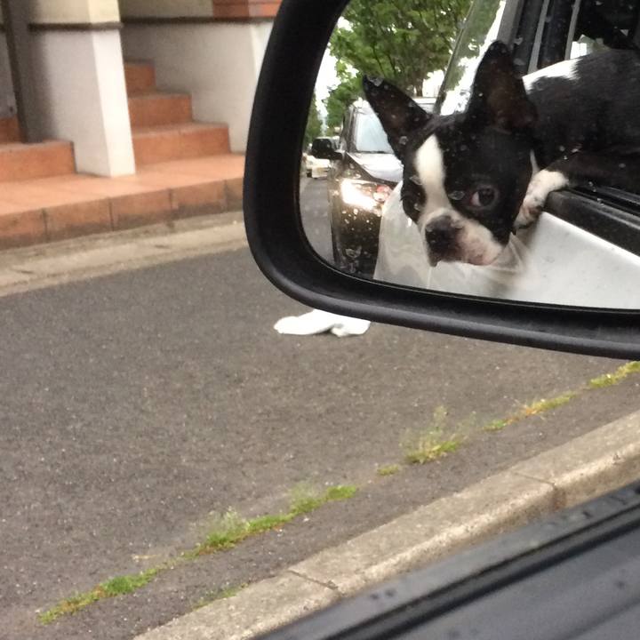 778096b6 8de2 4cb4 a604 7f91d90f7511