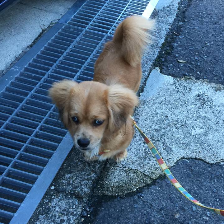 7780ba06 90c5 4d75 aa43 672ab90be3cb