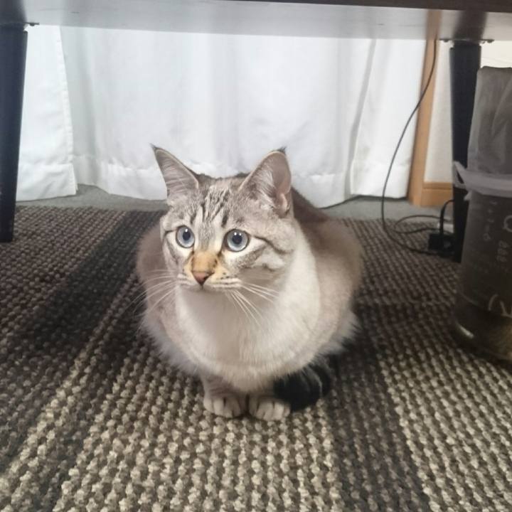 77812c86 c9e0 4275 8b74 e31deccb9cf5