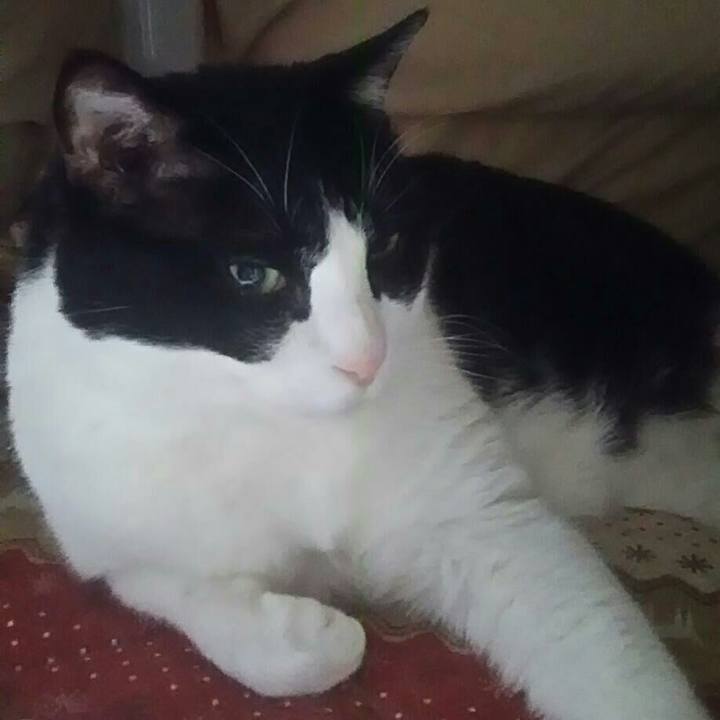 77814b59 9158 49e1 86d0 e2b4fab6376b