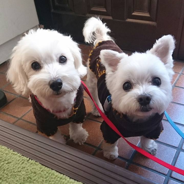 778247a4 c3f8 4494 83f3 3e5f4c4ecd08