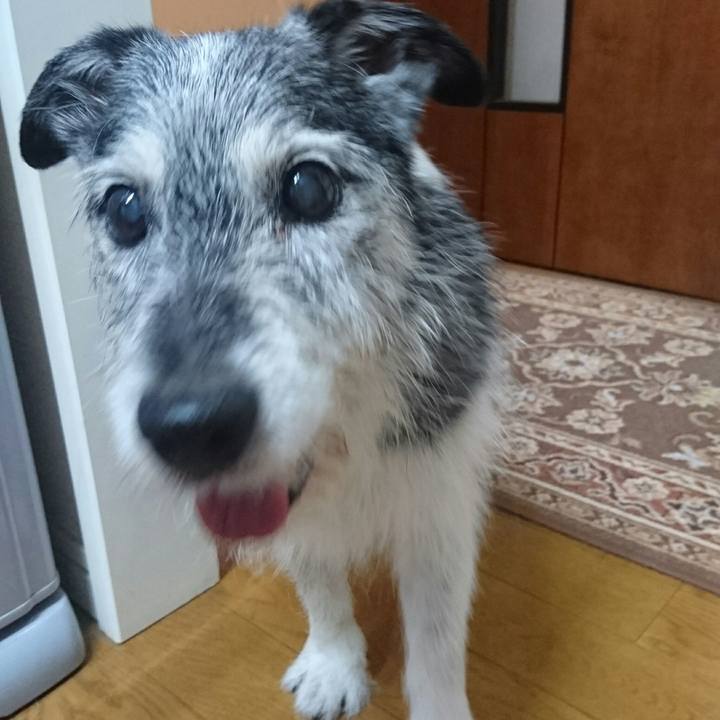 7782b2cb 918c 4949 a881 e984e2273d26