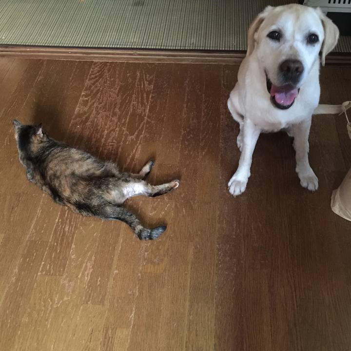 7783a386 2553 4ea6 81ce e5625e41a8c6