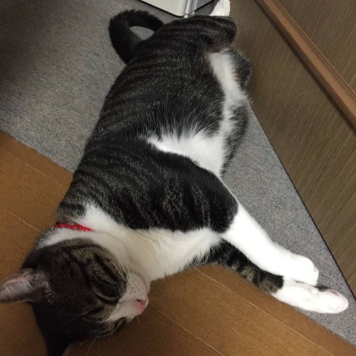 778403a6 a3d3 462b a55c cc71dd8f0a3f